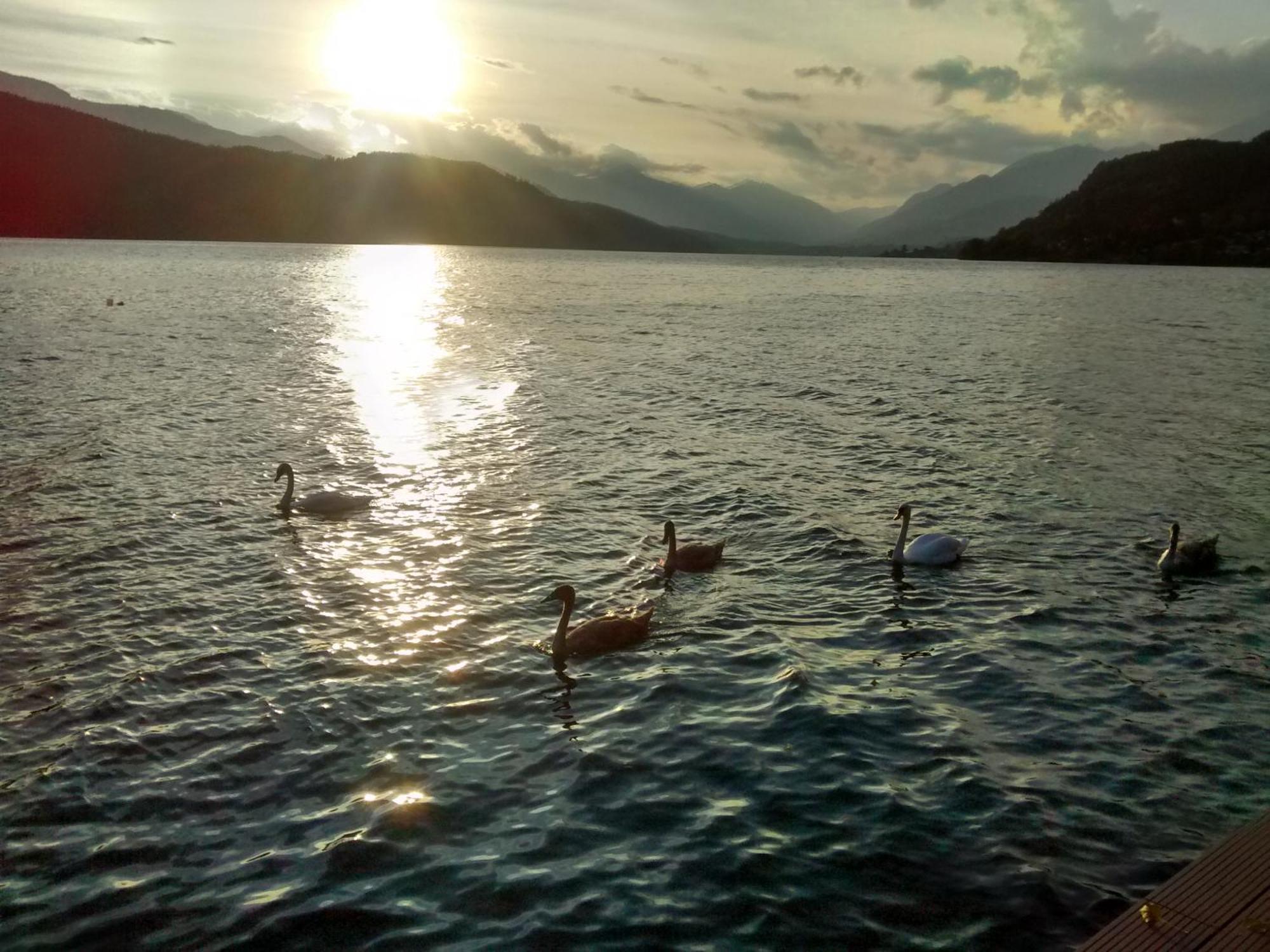 Ferienwohnungen Fischerhaus - Direkt Am See Millstatt Bagian luar foto