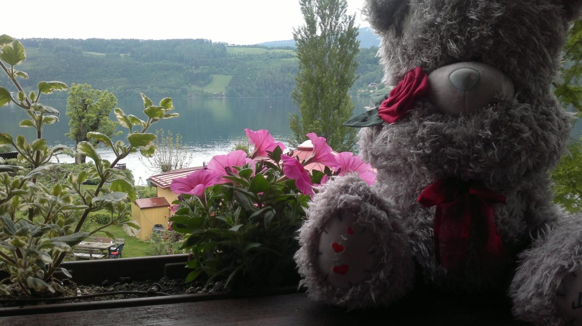 Ferienwohnungen Fischerhaus - Direkt Am See Millstatt Bagian luar foto