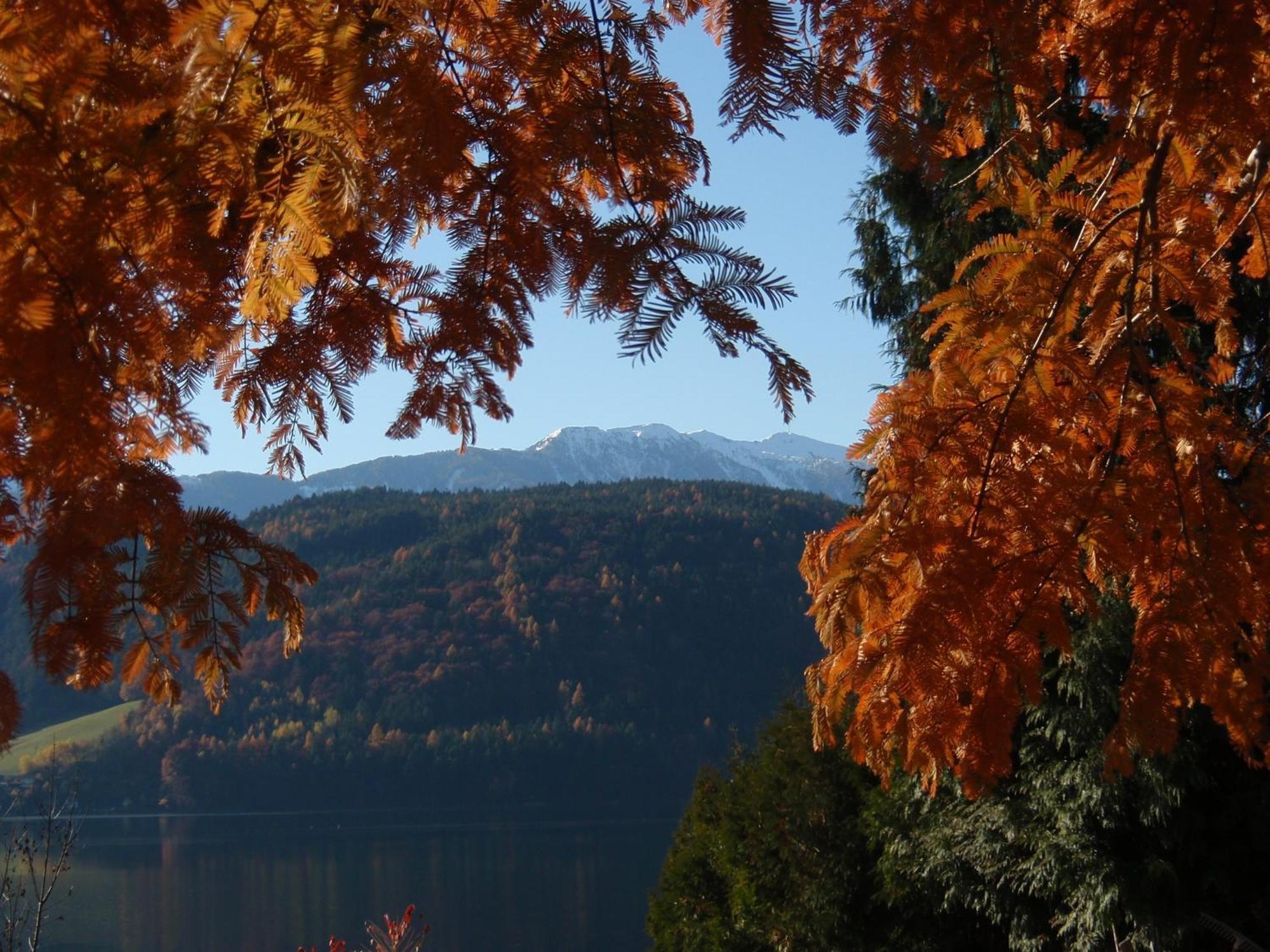 Ferienwohnungen Fischerhaus - Direkt Am See Millstatt Bagian luar foto